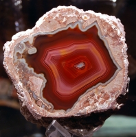 Baker Thunderegg